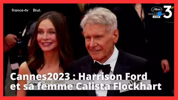 Harrison Ford monte les marches