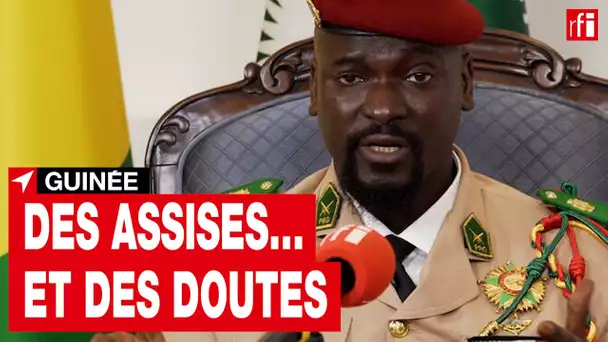 Guinée : lancement effectif des Assises nationales • RFI