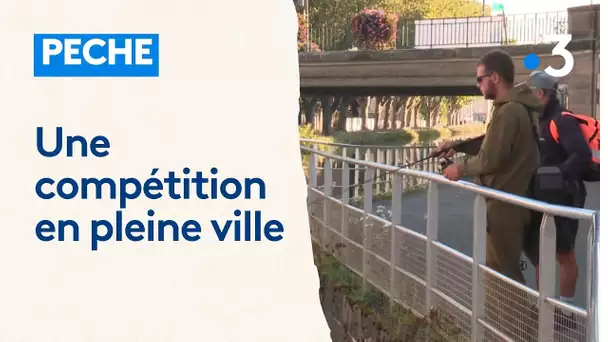 Une compétition de pêche en pleine ville