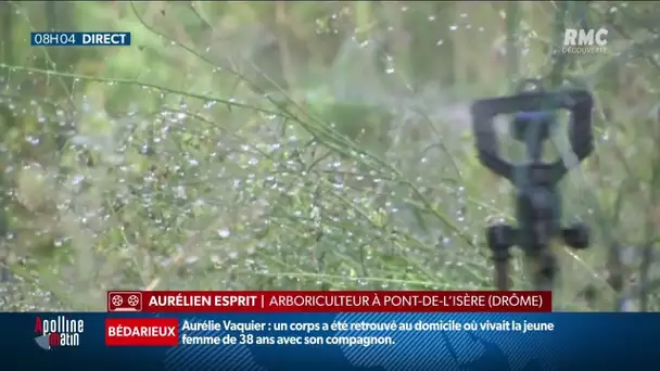 Gelées en France: les arboriculteurs à bout de forces après deux nuits blanches consécutives