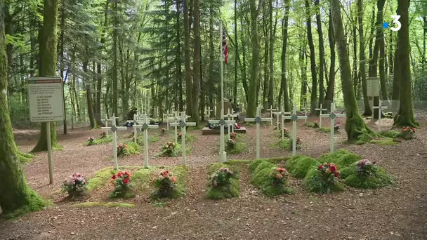 Partez à la découverte du Parc naturel régional du Morvan - Episode 2