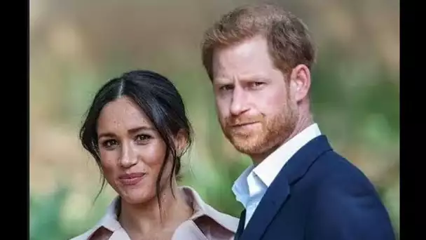 Meghan et le prince Harry paient 3 millions de livres sterling pour transformer un livre en film hol