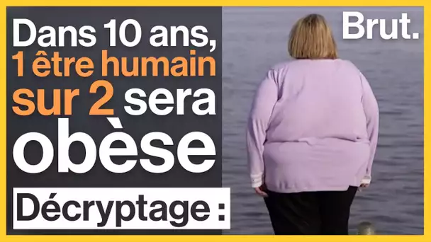 La moitié de la population mondiale sera obèse dans 10 ans