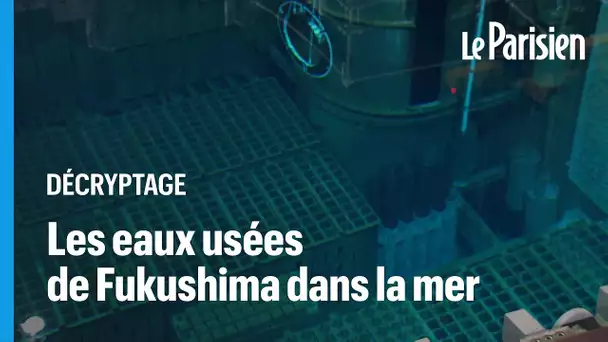 Pourquoi le gouvernement japonais va rejeter les eaux de Fukushima dans l’océan pacifique