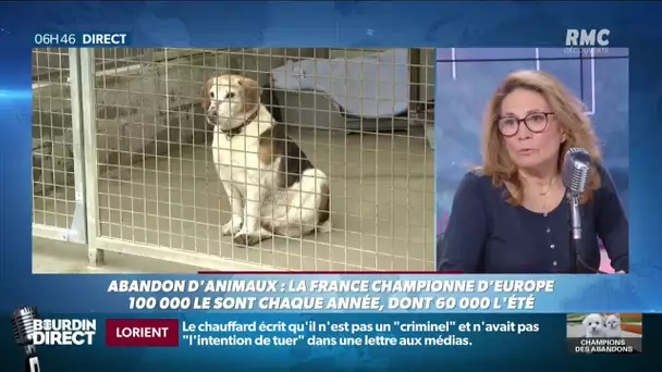 La France championne d'Europe de l'abandon d'animaux: "Il faut encadrer les animaleries"