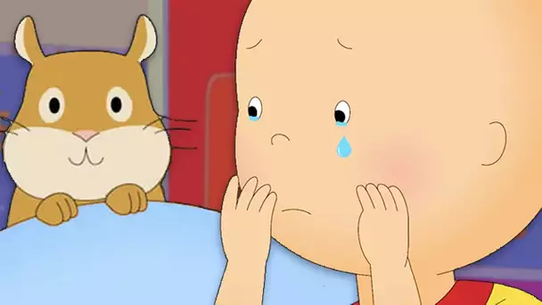 Le Hamster de Caillou Meurt | Caillou en Français