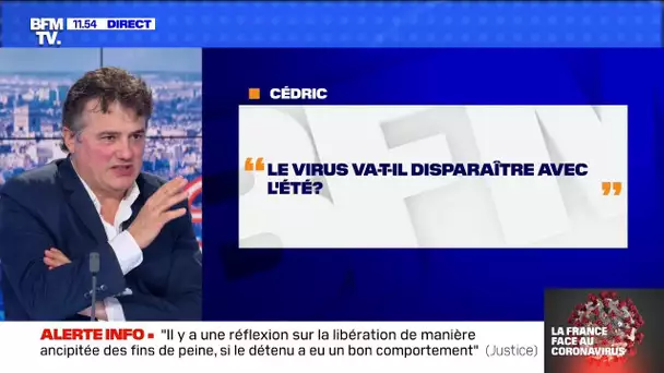 Le coronavirus va-t-il disparaître avec l'été ? BFMTV répond à vos questions