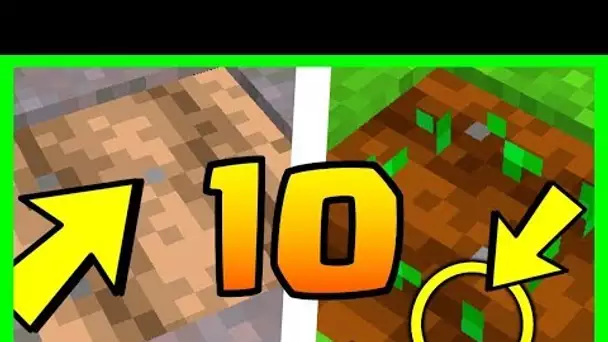 10 SECRETS SUR LA DIRT MINECRAFT