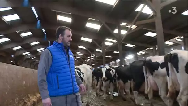 Saint-Père-en-Retz : une laiterie promet un lait plus rémunérateur pour les éleveurs