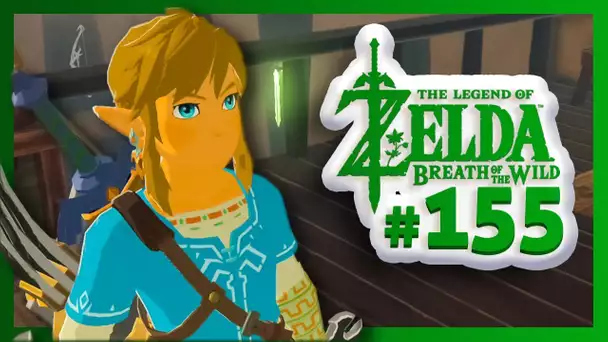 ZELDA BREATH OF THE WILD : Le Secret de la Maison #155