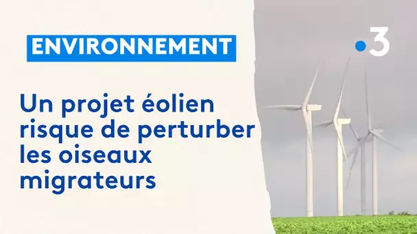 Élus, chasseurs et écologistes contre un projet éolien autour dans l’Oise