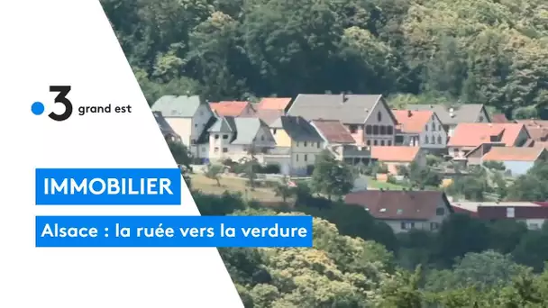 Immobilier en Alsace, la ruée vers la verdure