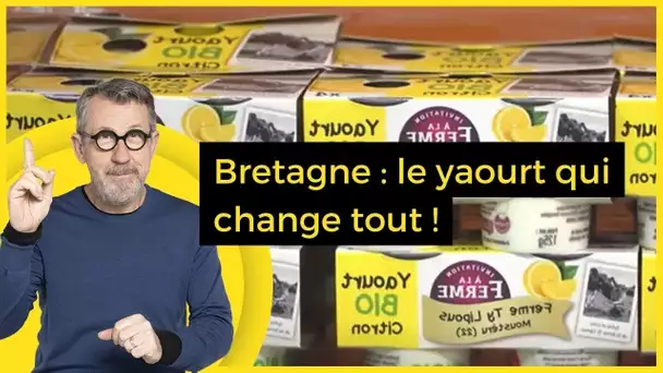 Bretagne : le yaourt qui change tout ! - C Jamy