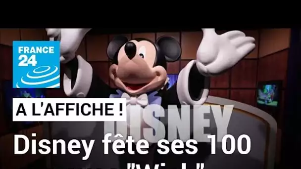 "Wish", le dessin animé pour fêter les 100 ans de Disney • FRANCE 24