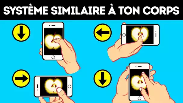 Comment Un Smartphone Sait-Il Distinguer Le Haut Du Bas Et Autres Secrets Cachés