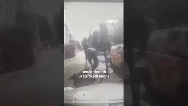 Trois chevaux militaires s'échappent dans les rues de Londres