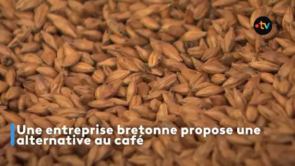 Une entreprise bretonne propose une alternative au café