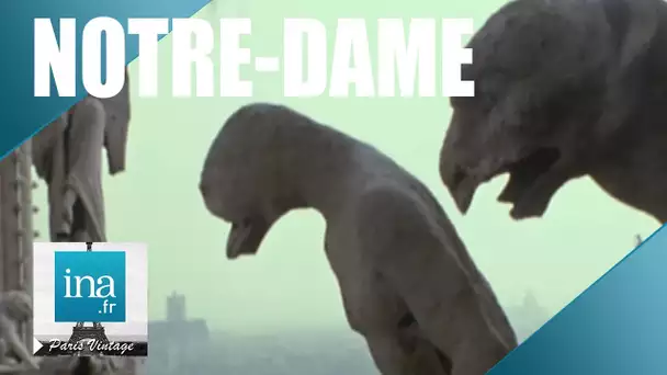 Les secrets et les coulisses de Notre-Dame | Archive INA