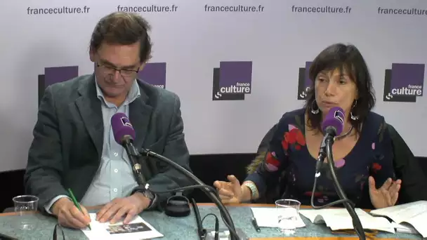 Agnès Sinaï : 'jusqu&#039;à présent les négociations climatiques ne sont pas animées par une cohérence'