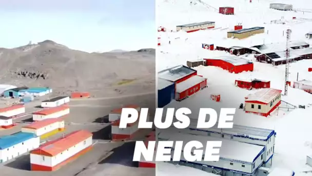 Dans cette région de l’Antarctique, les températures élevées ont fait disparaître la neige