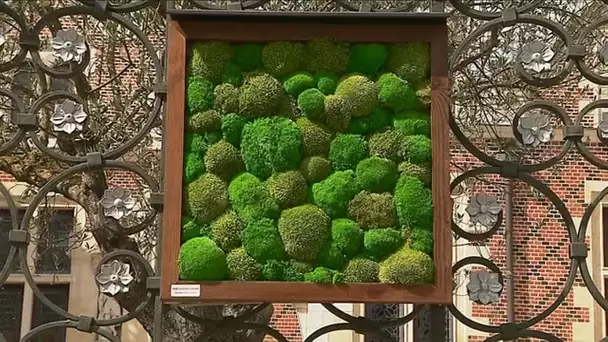 Six jardins éphémères installés à Orléans