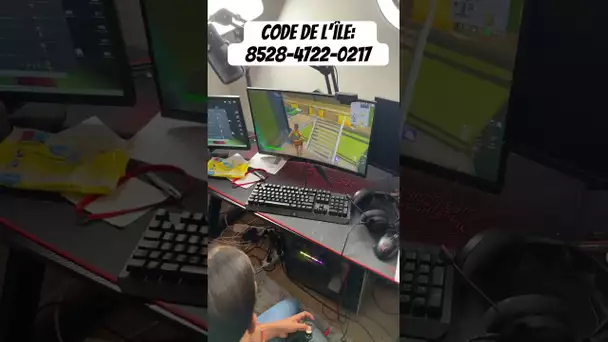 J’ai caché des carte psn sur fortnite trouve les code de l’île: 8528-4722-0217