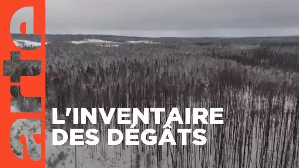 Québec : après les incendies | ARTE Reportage