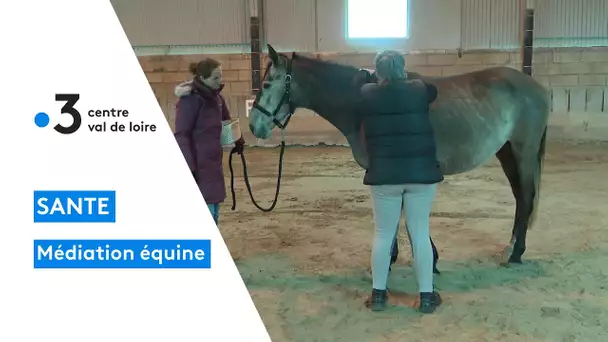 Thérapie animale : Atelier de médiation équine en Eure-et-Loir