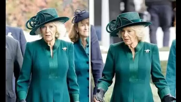 La reine Camilla rend hommage à la reine Elizabeth II avec une fabuleuse broche et un chapeau saisis