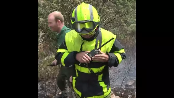 Il fait tout pour sauver ses animaux des flammes