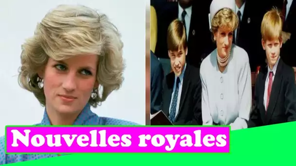 Harry « égoïste et immature » pour avoir critiqué le public qui a pleuré Diana, selon l'auteur