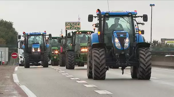 Vendée : la colère des agriculteurs à la Roche-sur-Yon