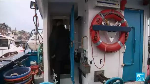 Crise de la pêche : les pêcheurs français obligés de rester à quai, faute d'autorisation de Londres