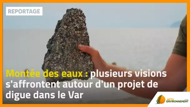 Montée des eaux : plusieurs visions s'affrontent autour d'un projet de digue dans le Var