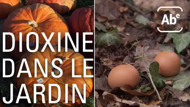 A Bon Entendeur I De la dioxine dans les jardins de Suisse romande