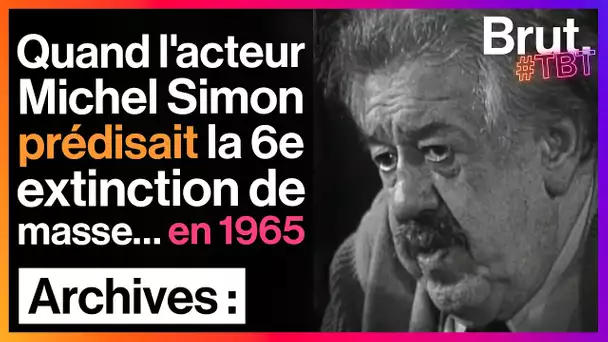 #TBT : en 1965, la triste prédiction de Michel Simon sur la disparition des oiseaux et des insectes