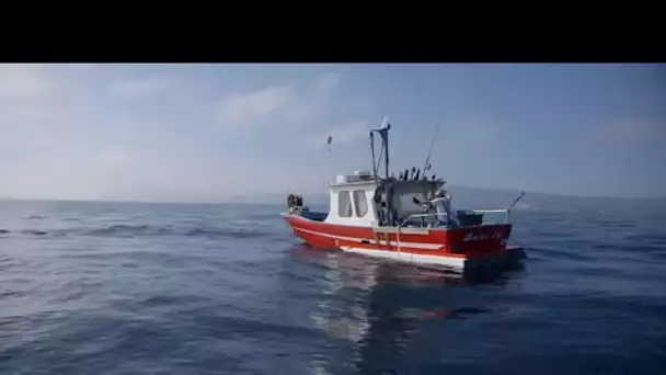 Calanques Marseille : Calanques en eaux troubles