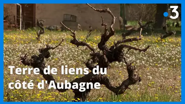 Du côté d'Aubagne un mouvement militant Terre de liens permet de lutter contre la pression foncière