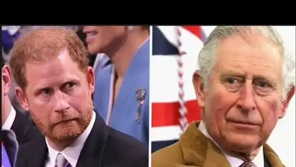Le roi Charles est toujours « vraiment en colère » contre le prince Harry pour avoir « fait part de