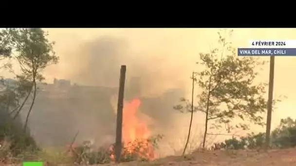 🇨🇱  Chili : les incendies de forêt gagnent des zones résidentielles à Vina del Mar