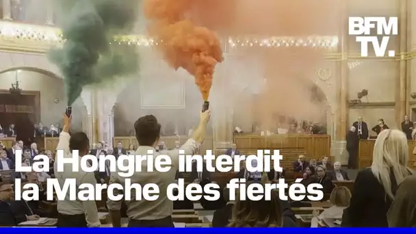 En Hongrie, une loi interdisant la "Gay Pride" est votée