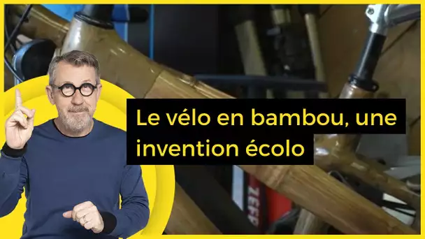 Le vélo en bambou, une invention écolo - C Jamy