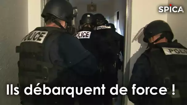 Police en action :  ils débarquent en force