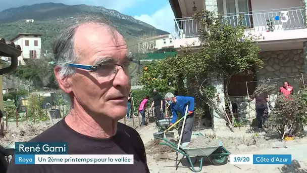 Pour faire "renaître" les vallées des Alpes-Maritimes, des plantes offertes aux sinistrés