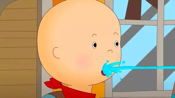 Touchez la cible! | Caillou en Français