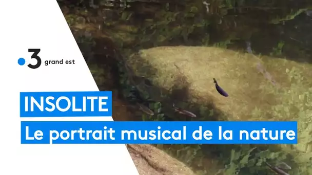 Le portrait de la nature en musique