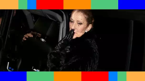 🔥  Céline Dion en deuil : "Je suis attristée par son départ..."