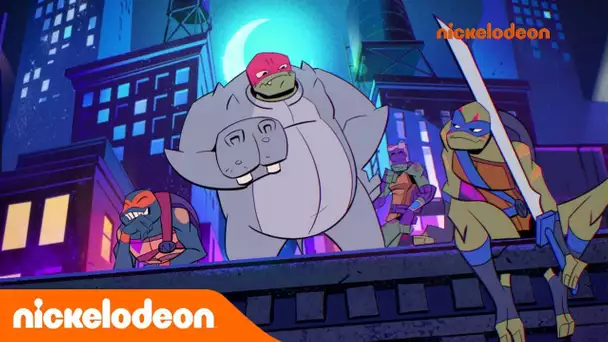 Le destin des Tortues Ninja | Hippo-Appât | Nickelodeon France