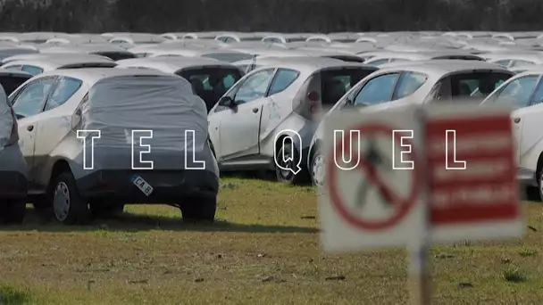 Un cimetière d’autolib en Loir-et-Cher