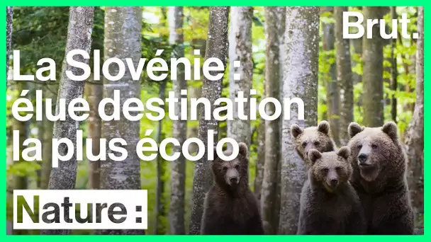 La Slovénie, destination touristique la plus écolo